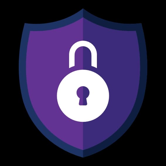 Cyber Security Shield
